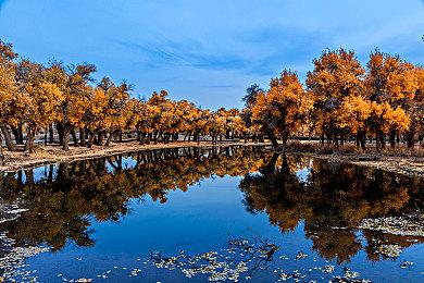 《赛博朋克2077》开发者征求玩家反馈 继续改进游戏